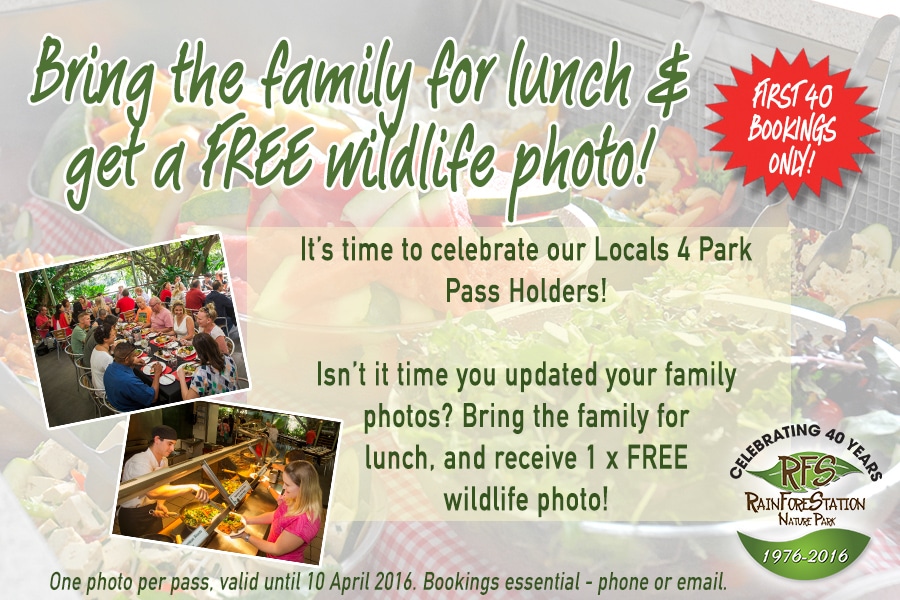 locals special offer for rainforestation
