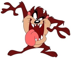 tasmanian devils