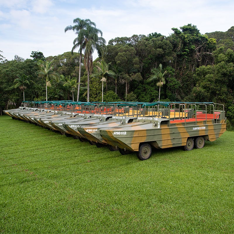 army DUKW rainforestation nature park kuranda