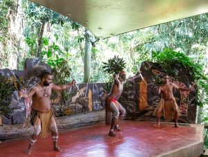 Pamagirri Aboriginal Experience Shake A Leg Dance